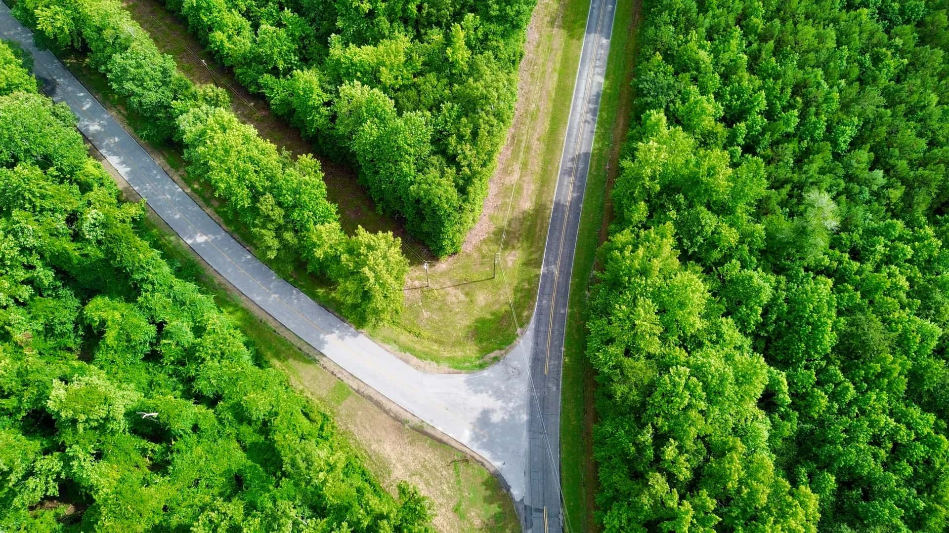 İkiye ayrılan bir yol