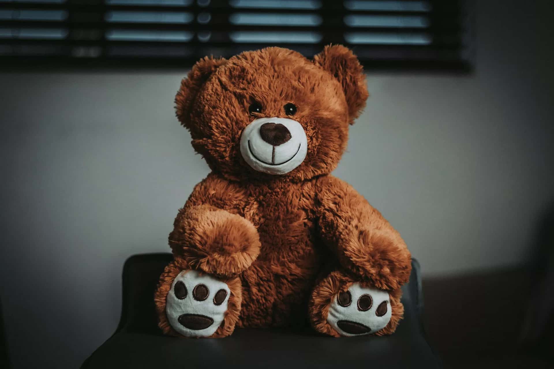 Koltukta oturan peluş ayı